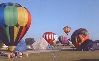 Balloon Rally at Burger Fest